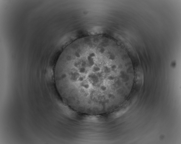 X0000102020523200807251335