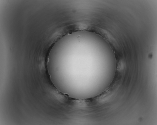 X0000102020524200807251335