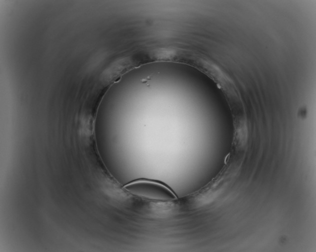X0000102020525200807251334