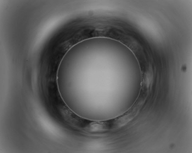 X0000102020526200807251334