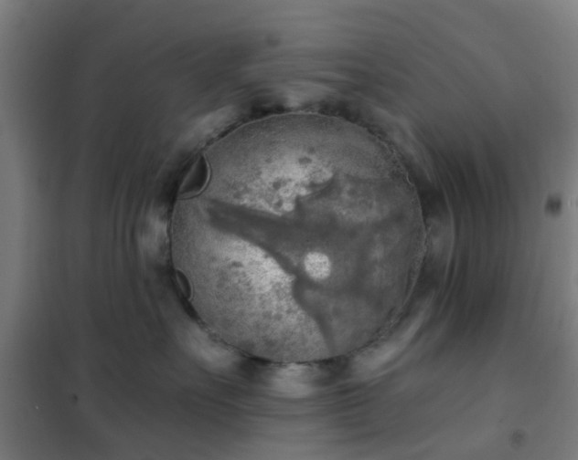 X0000102020527200807251334
