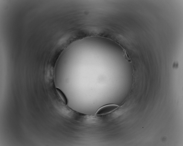 X0000102020528200807251334