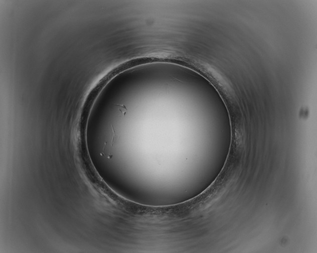 X0000102020532200807251334