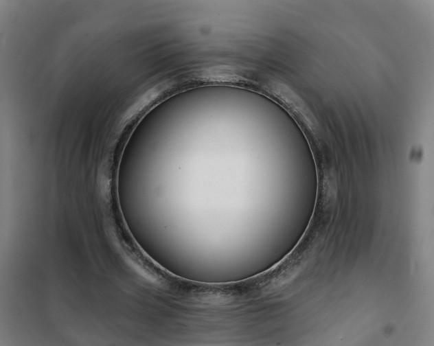 X0000102020533200807251334