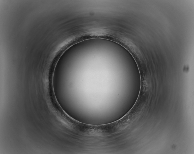 X0000102020535200807251334