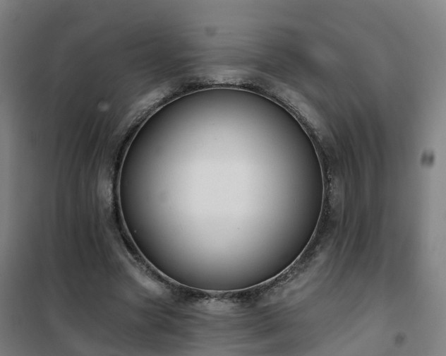 X0000102020537200807251334