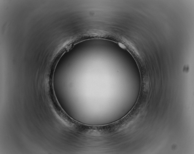 X0000102020538200807251334
