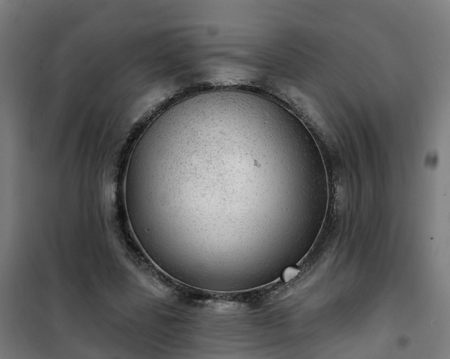 X0000102020539200807251334