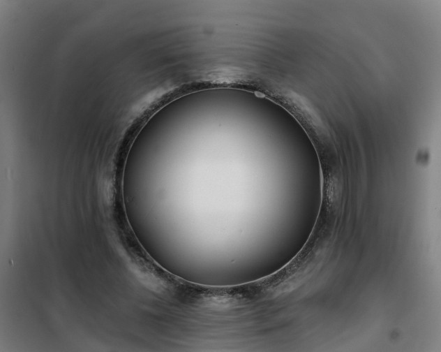 X0000102020540200807251334
