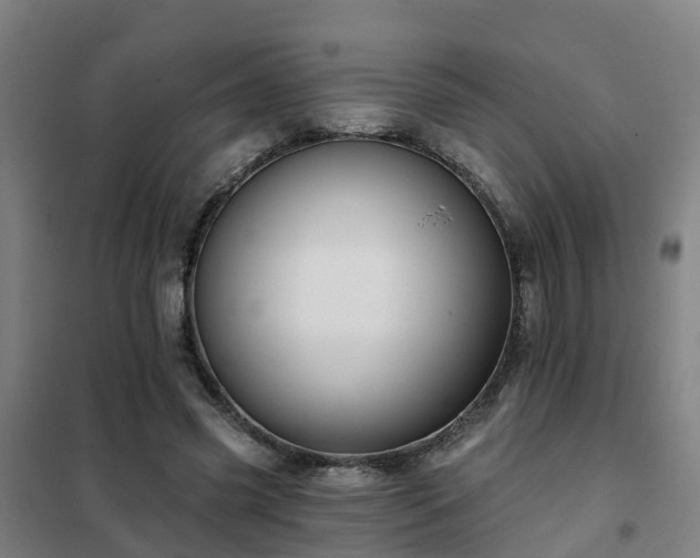 X0000102020541200807251334