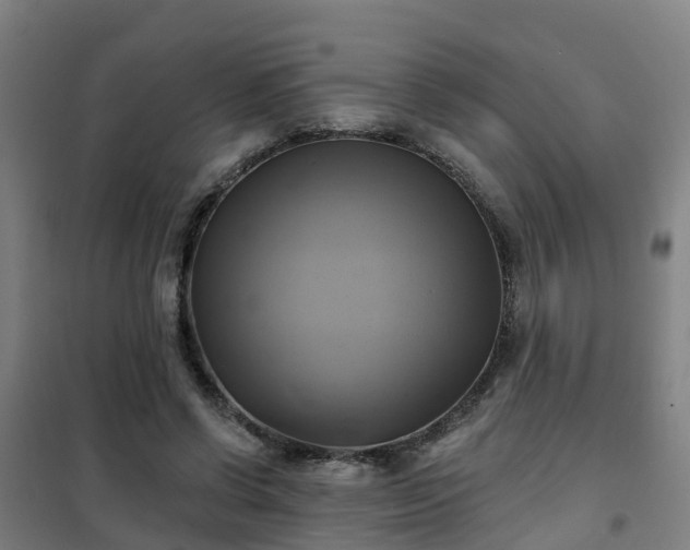 X0000102020542200807251334