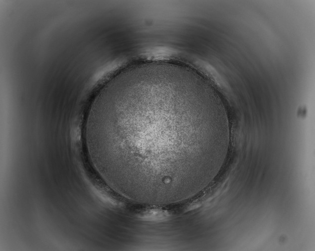 X0000102020543200807251334