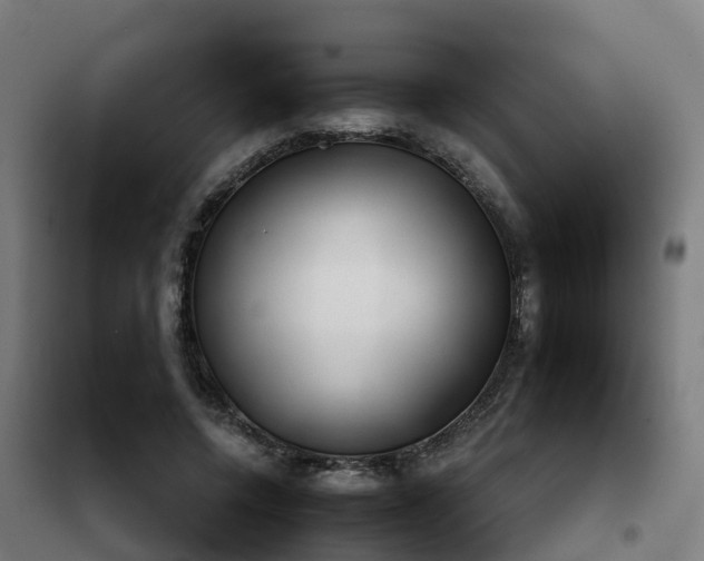 X0000102020544200807251334