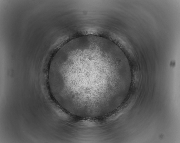 X0000102020545200807251334