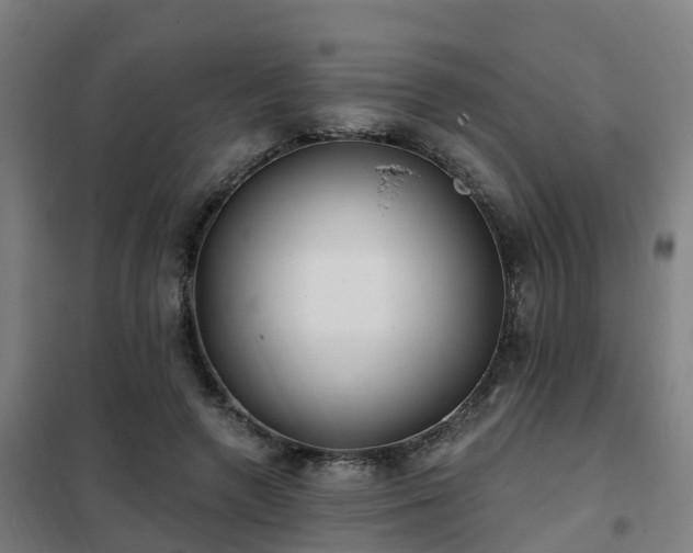 X0000102020546200807251334