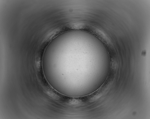 X0000102020549200807251334