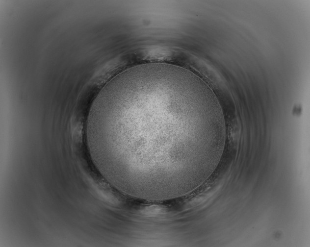 X0000102020551200807251334