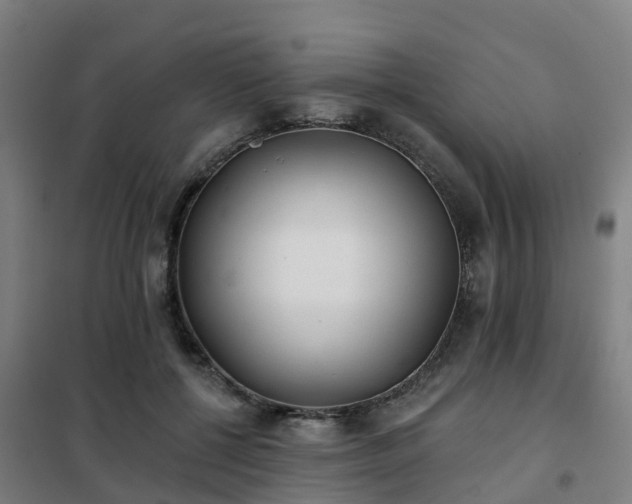 X0000102020552200807251334
