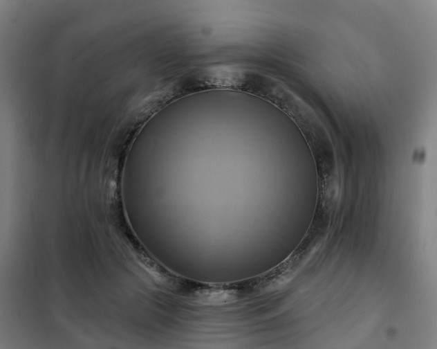 X0000102020553200807251334