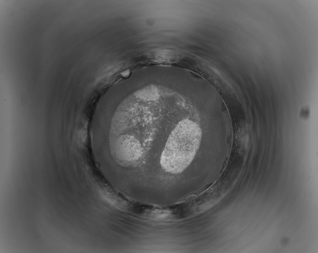 X0000102020554200807251334