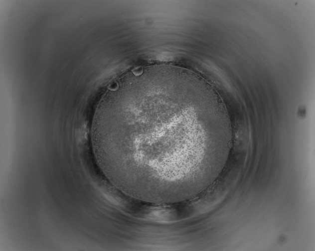 X0000102020555200807251334