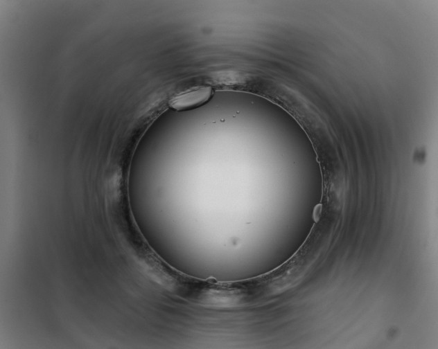 X0000102020556200807251334