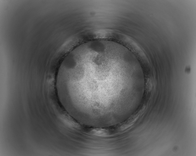 X0000102020557200807251334