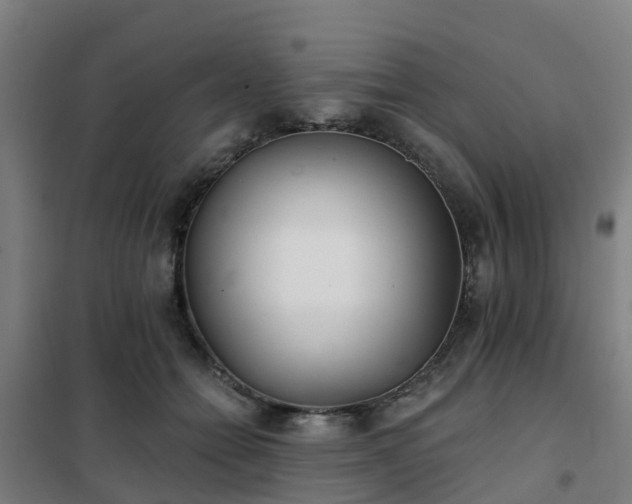 X0000102020558200807251334