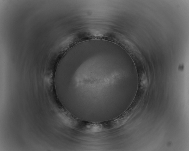 X0000102020559200807251334