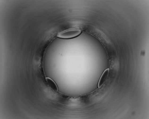 X0000102020560200807251334