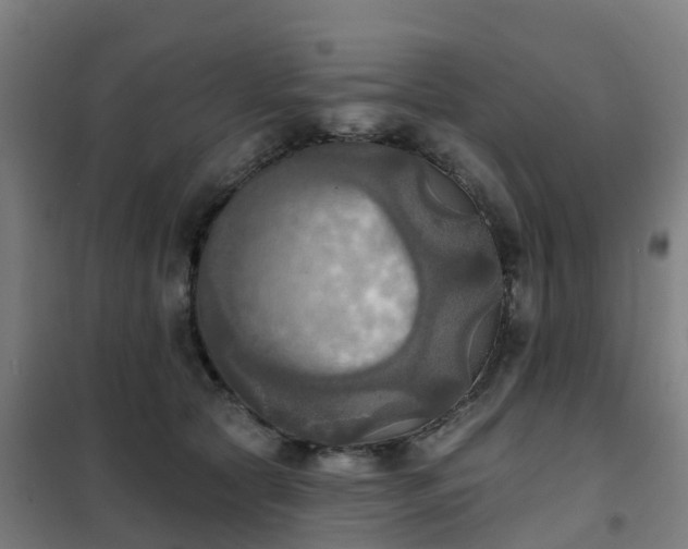 X0000102020561200807251334