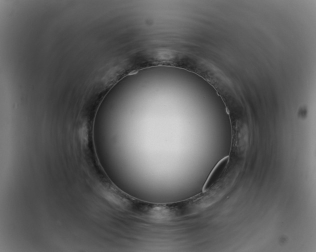 X0000102020562200807251334