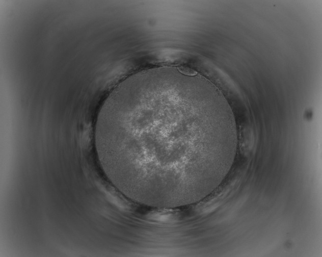X0000102020563200807251334