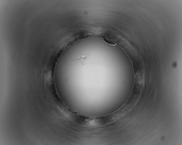 X0000102020564200807251334