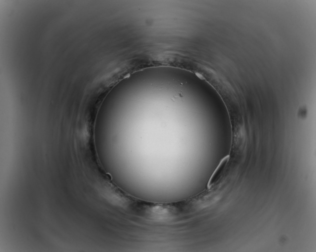 X0000102020566200807251334