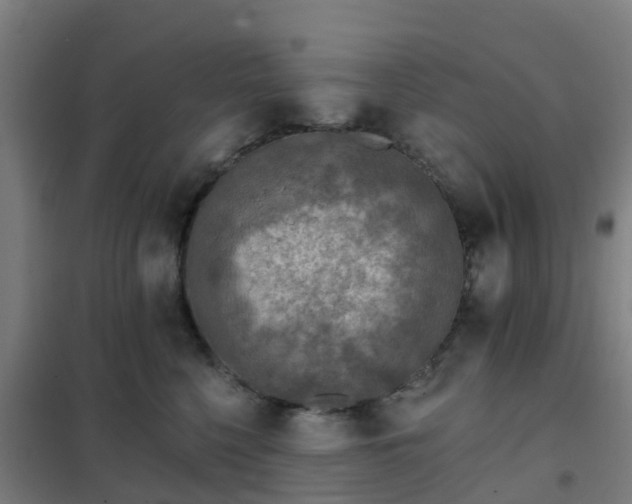 X0000102020568200807251334