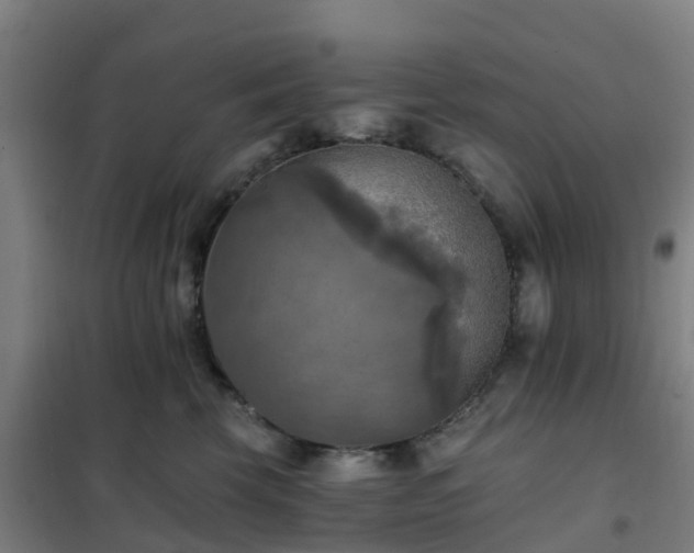 X0000102020569200807251334