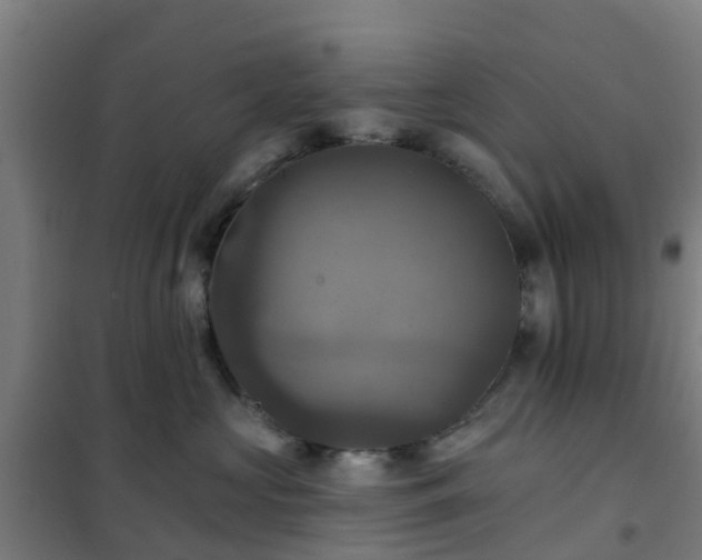 X0000102020573200807251334