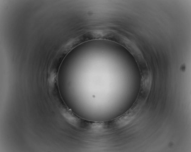X0000102020574200807251334
