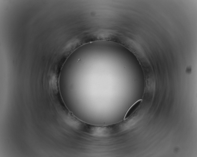 X0000102020575200807251334