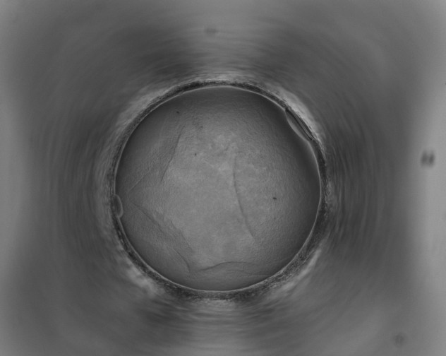 X0000102020577200807251334
