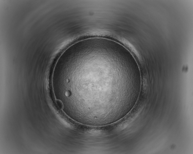 X0000102020581200807251334