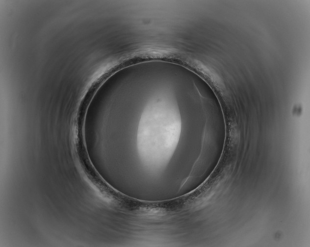 X0000102020582200807251334