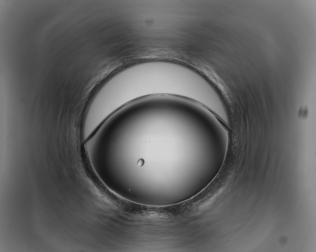 X0000102020585200807251333