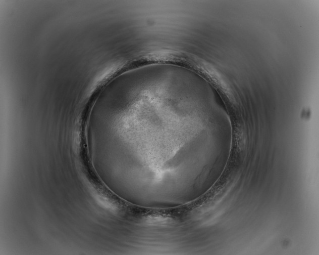 X0000102020586200807251333