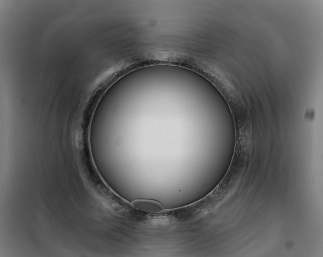 X0000102020587200807251333