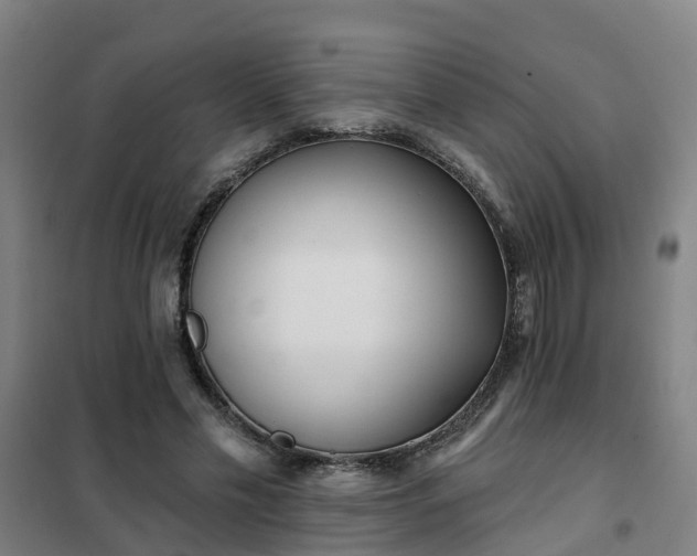 X0000102020589200807251333