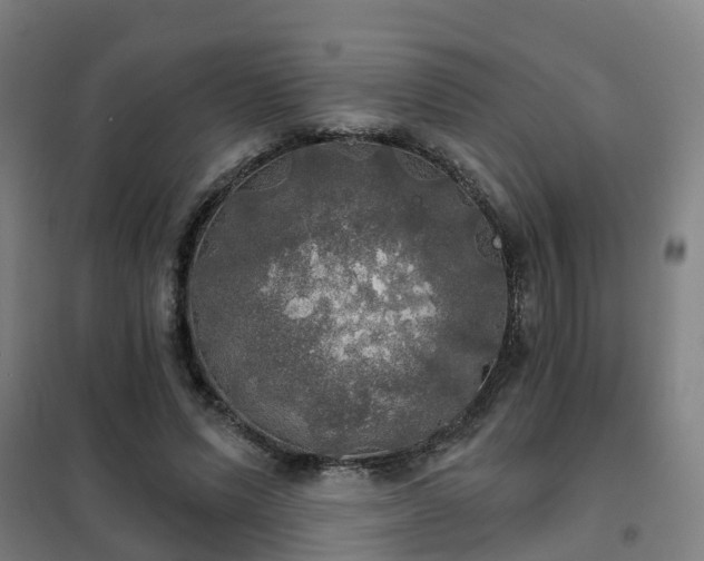 X0000102020591200807251333