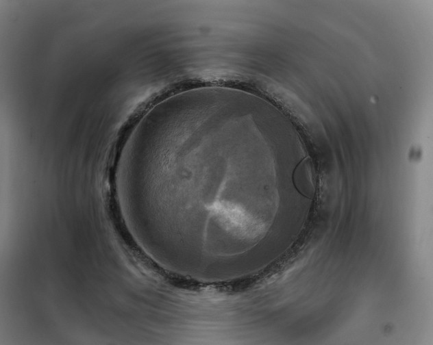 X0000102020592200807251333