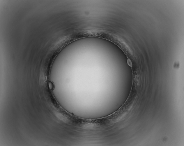 X0000102020593200807251333